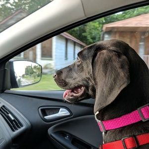 Meet your Posher, Scott